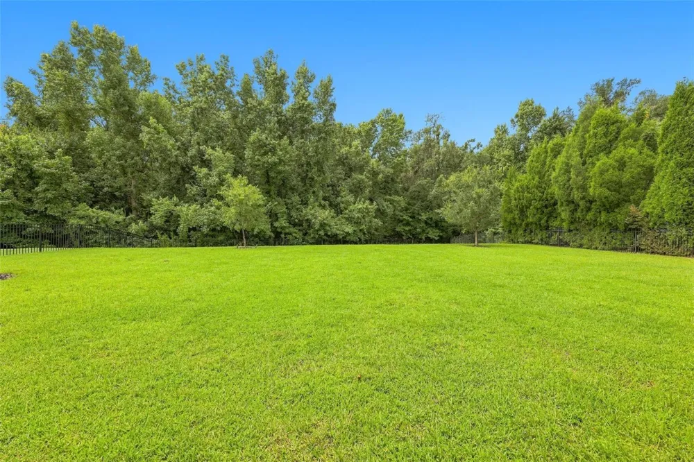 3225 CORDOBA RANCH BOULEVARD Lutz, FL 33559