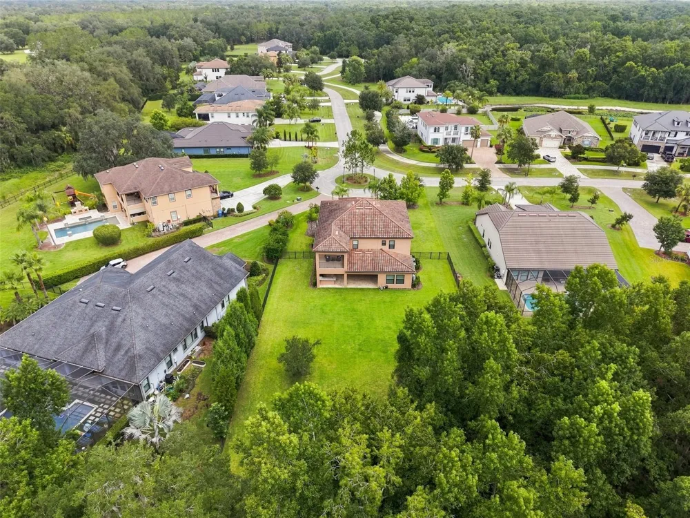 3225 CORDOBA RANCH BOULEVARD Lutz, FL 33559