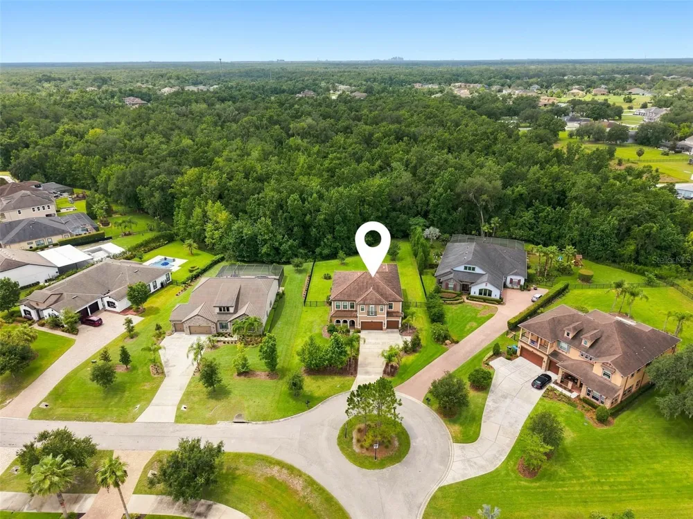 3225 CORDOBA RANCH BOULEVARD Lutz, FL 33559