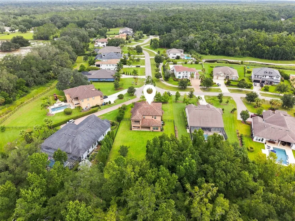 3225 CORDOBA RANCH BOULEVARD Lutz, FL 33559