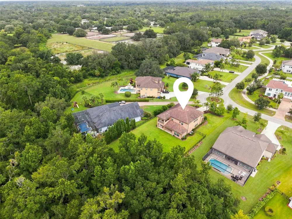 3225 CORDOBA RANCH BOULEVARD Lutz, FL 33559