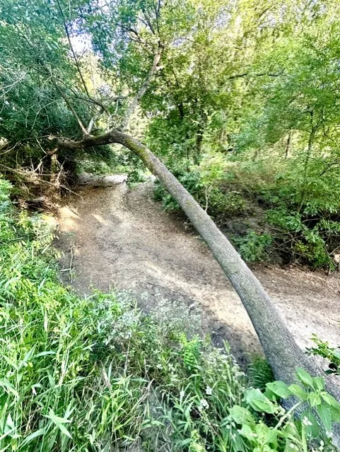 Cr 120 Marlin, TX 76661