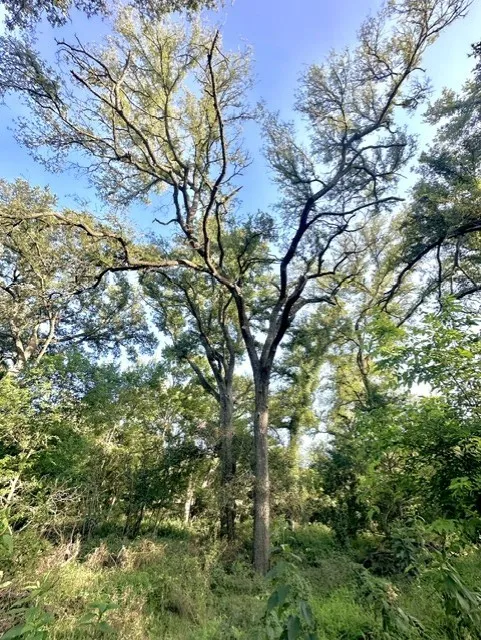 Cr 120 Marlin, TX 76661