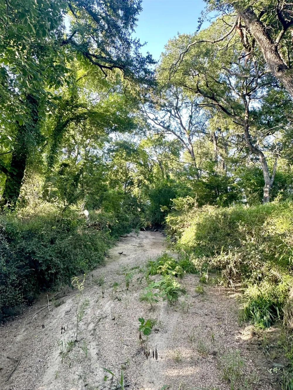 Cr 120 Marlin, TX 76661