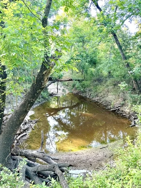 Cr 120 Marlin, TX 76661