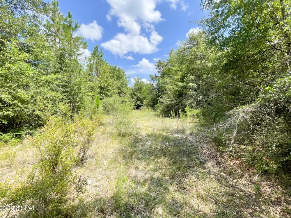 7 Douglas Ferry Road Bonifay, FL 32425