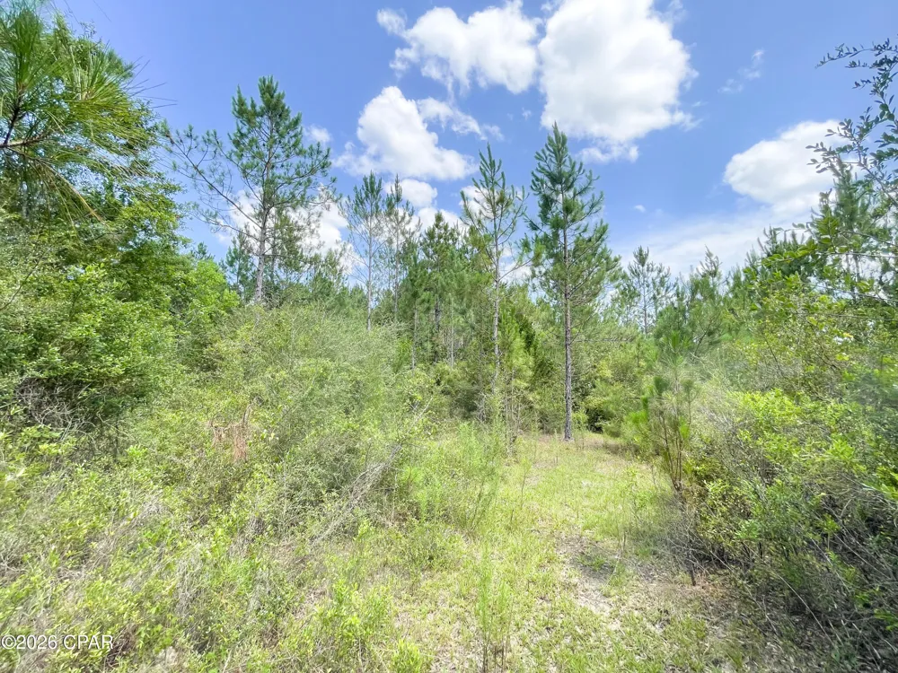 7 Douglas Ferry Road Bonifay, FL 32425