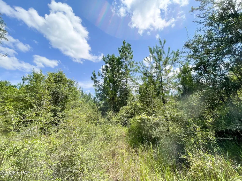 7 Douglas Ferry Road Bonifay, FL 32425