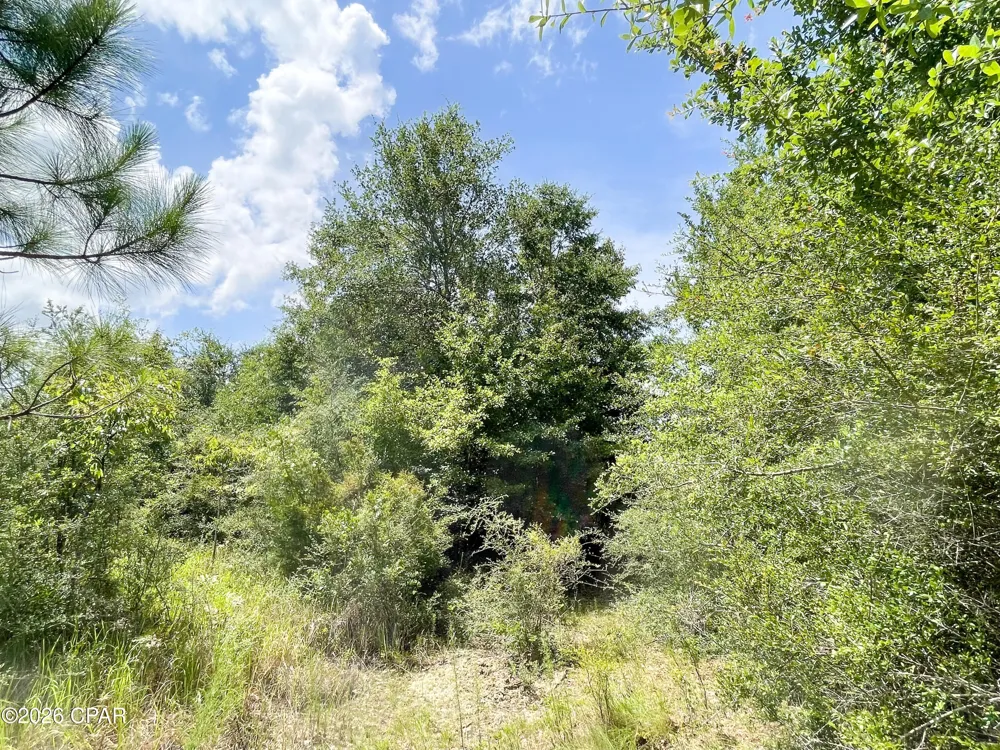 7 Douglas Ferry Road Bonifay, FL 32425