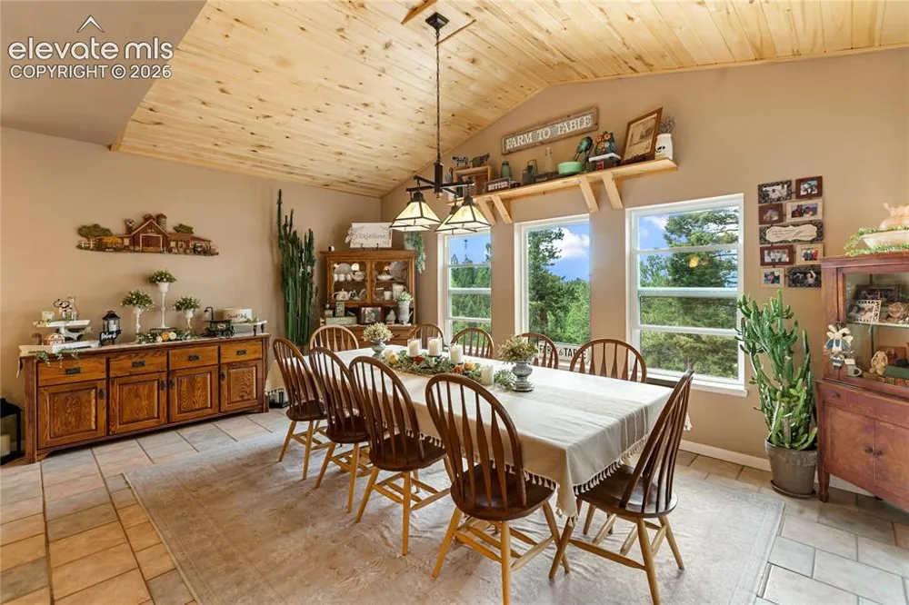 185 Bear Lake Circle Divide, CO 80814