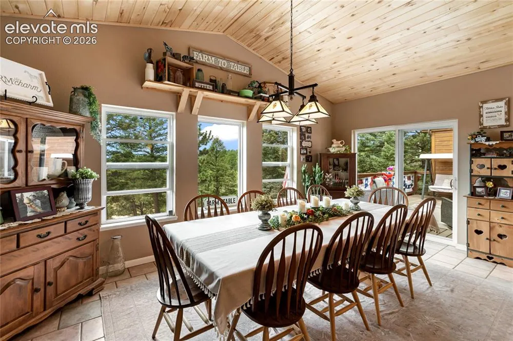 185 Bear Lake Circle Divide, CO 80814