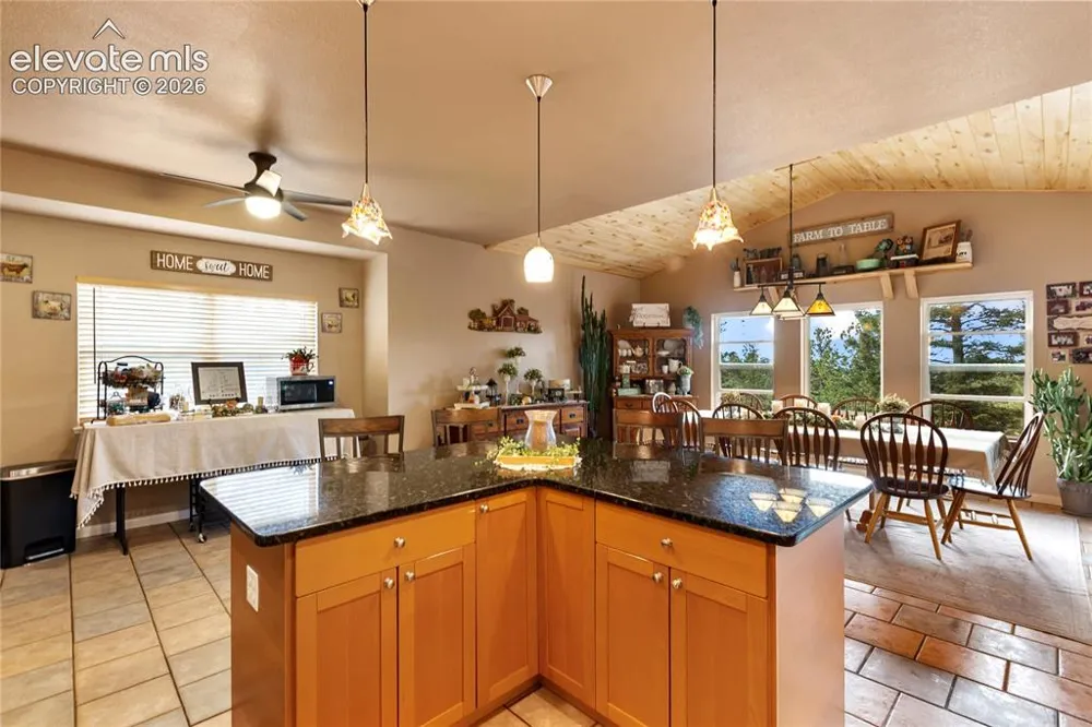 185 Bear Lake Circle Divide, CO 80814