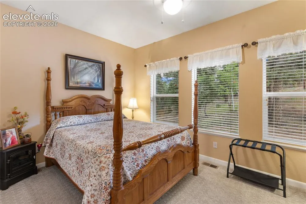 185 Bear Lake Circle Divide, CO 80814