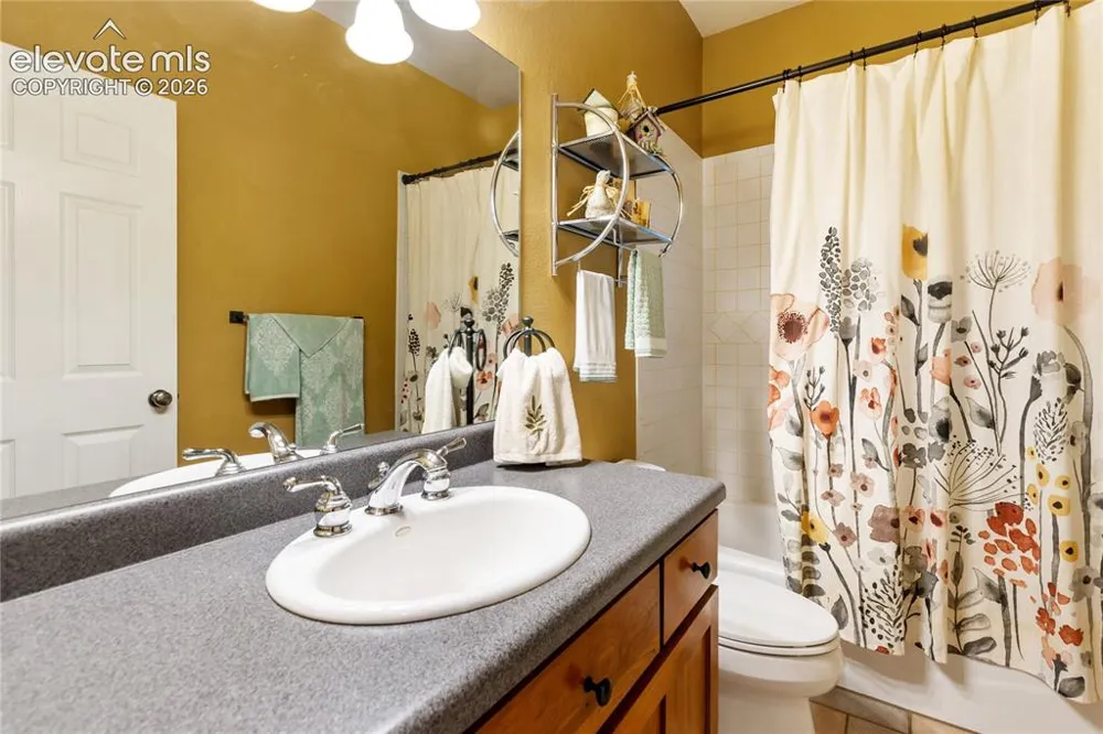 185 Bear Lake Circle Divide, CO 80814