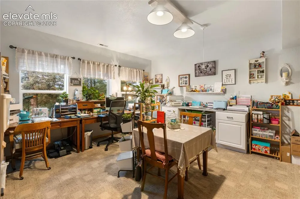 185 Bear Lake Circle Divide, CO 80814