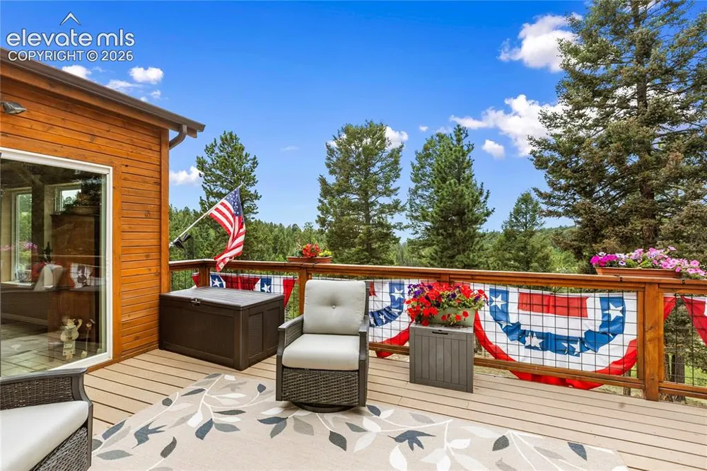 185 Bear Lake Circle Divide, CO 80814