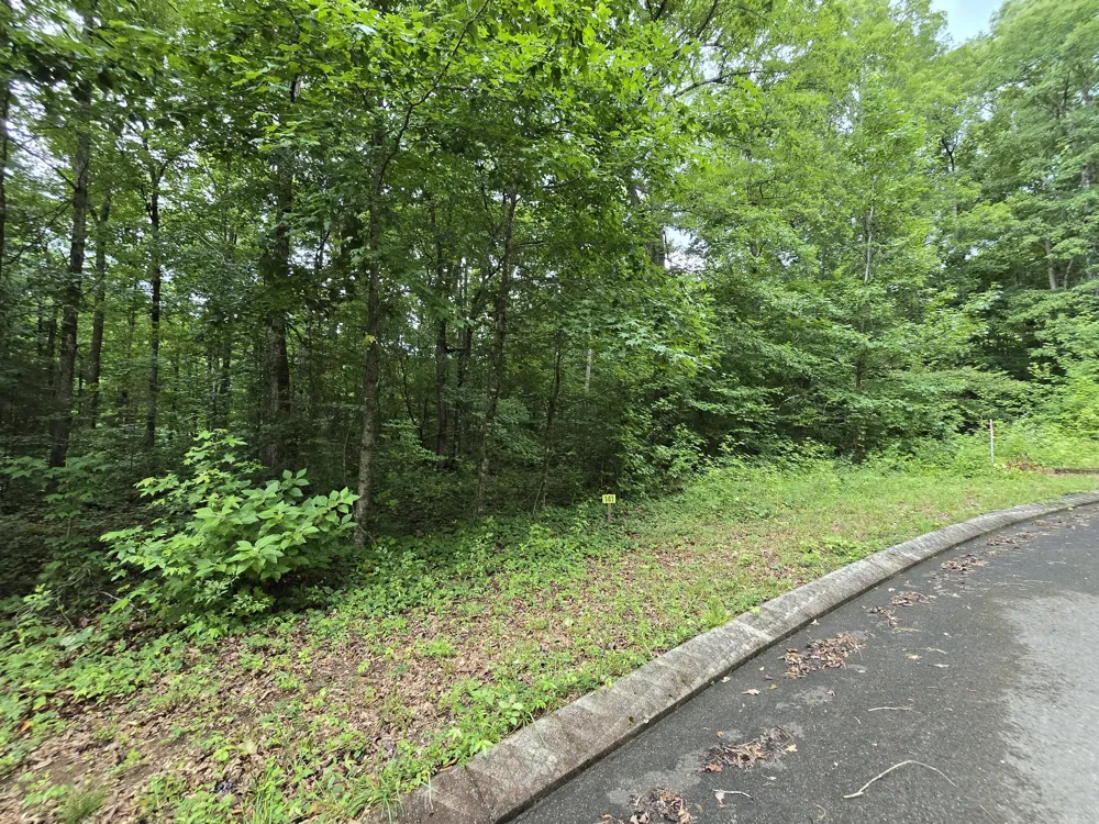 141 Lower Brow Road Dunlap, TN 37327