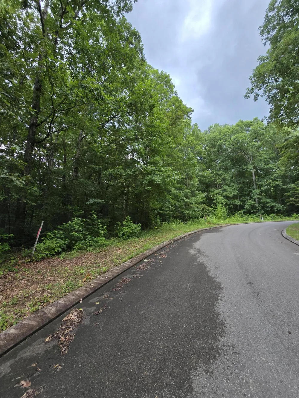 141 Lower Brow Road Dunlap, TN 37327