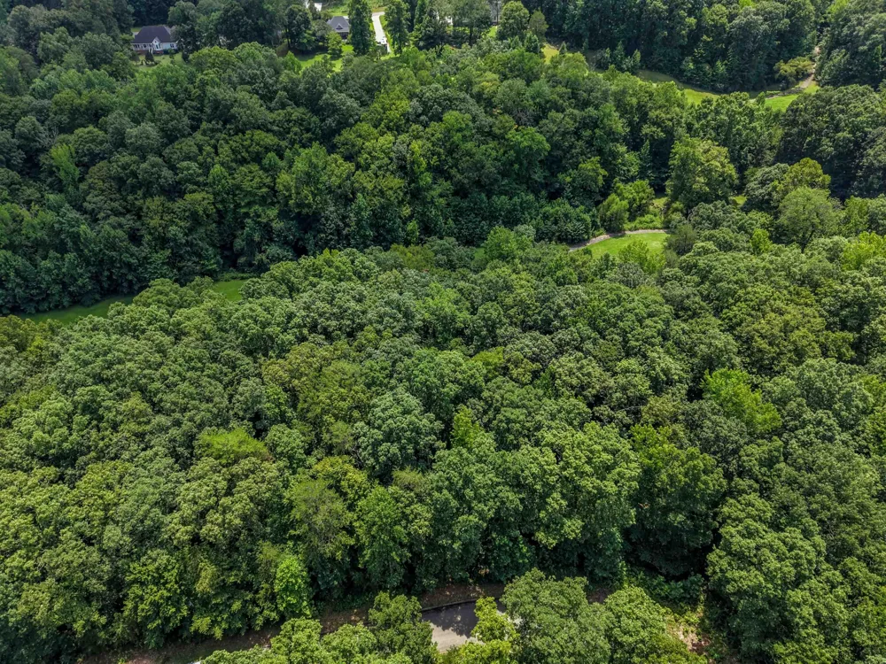 141 Lower Brow Road Dunlap, TN 37327