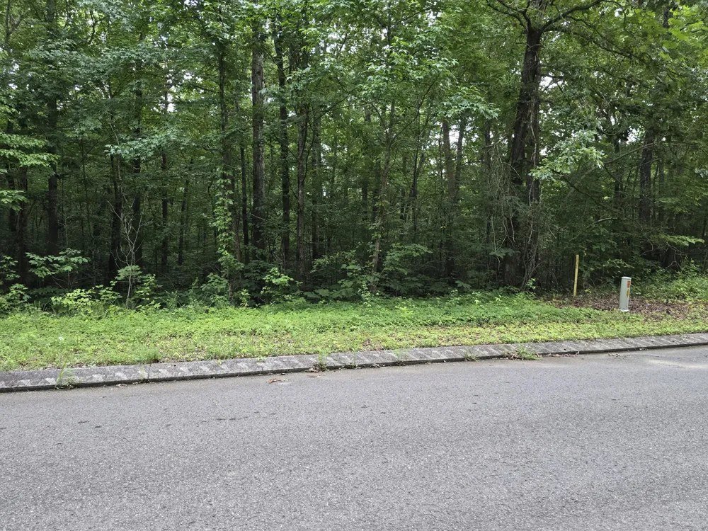 144 Lower Brow Road Dunlap, TN 37327