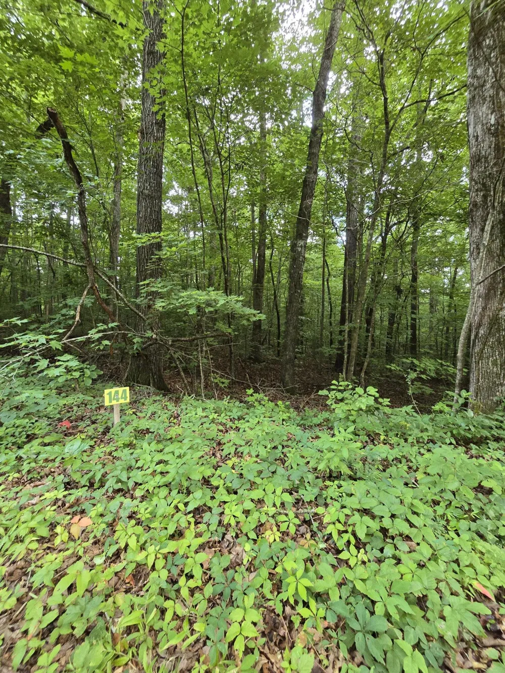 144 Lower Brow Road Dunlap, TN 37327