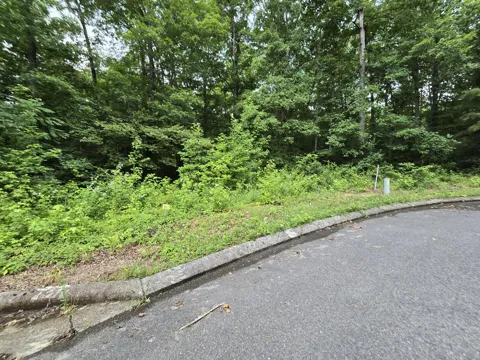 142 Lower Brow Road