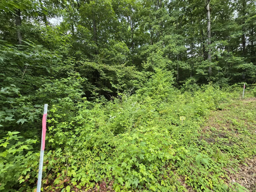 142 Lower Brow Road Dunlap, TN 37327