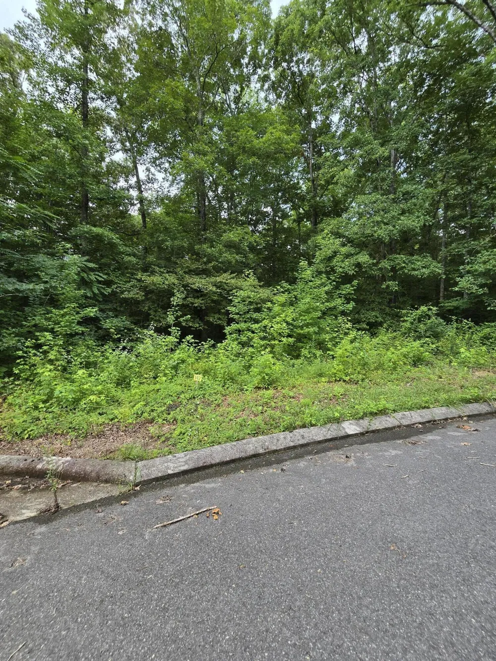 142 Lower Brow Road Dunlap, TN 37327