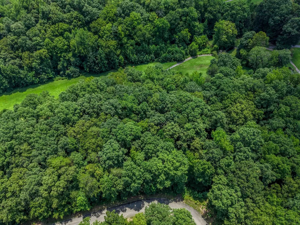 142 Lower Brow Road Dunlap, TN 37327