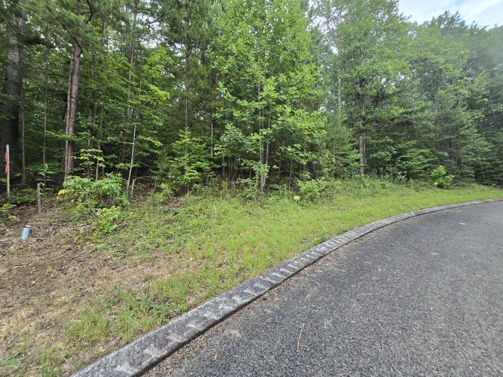 155 Lower Brow Road Dunlap, TN 37327