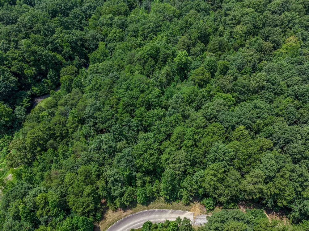 155 Lower Brow Road Dunlap, TN 37327