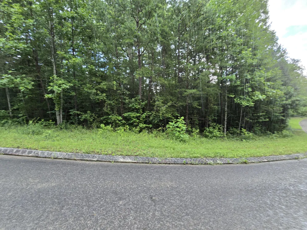 156 Lower Brow Road Dunlap, TN 37327