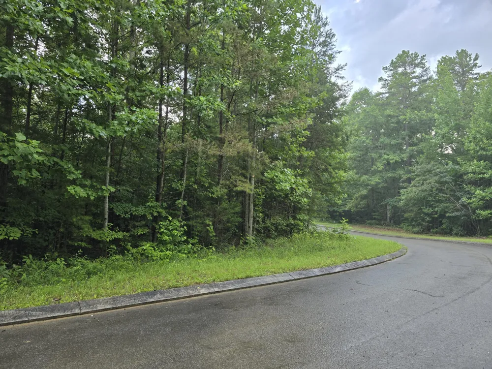 156 Lower Brow Road Dunlap, TN 37327