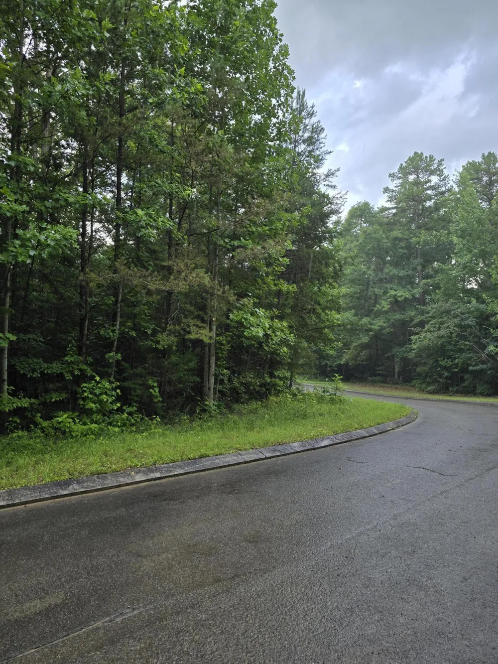 156 Lower Brow Road Dunlap, TN 37327