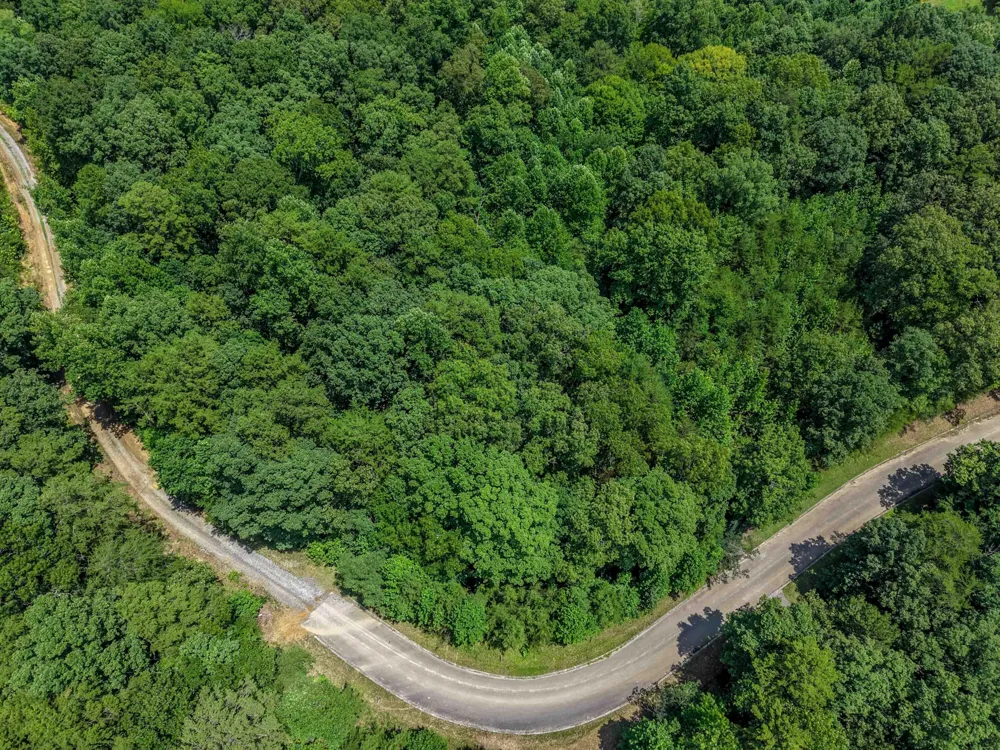 156 Lower Brow Road Dunlap, TN 37327