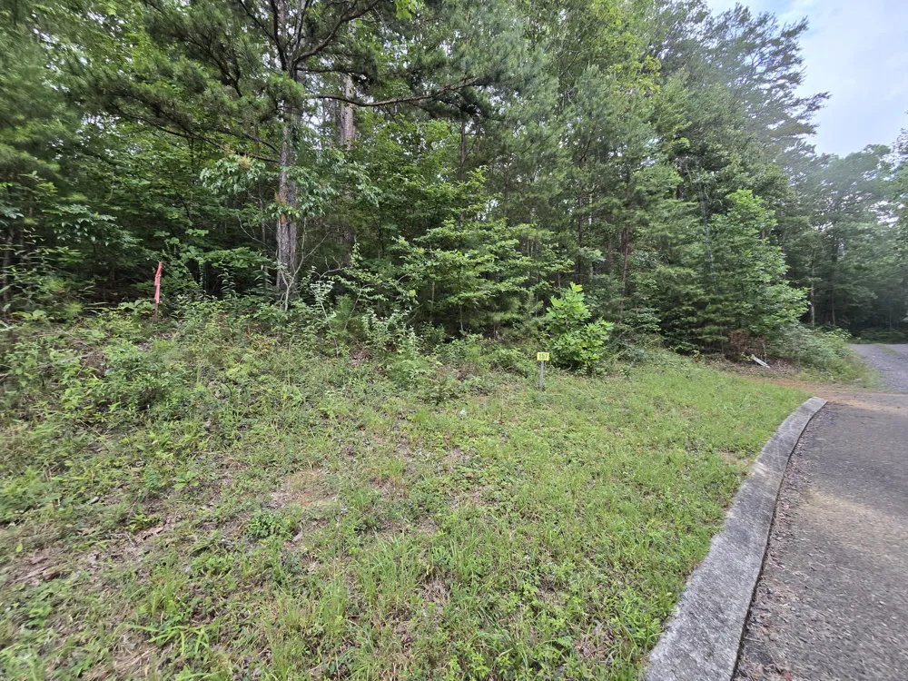 157 Lower Brow Road Dunlap, TN 37327