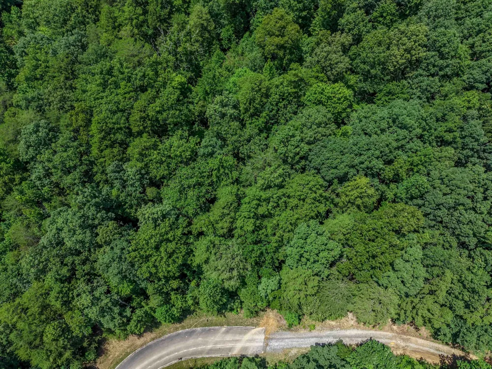 157 Lower Brow Road Dunlap, TN 37327