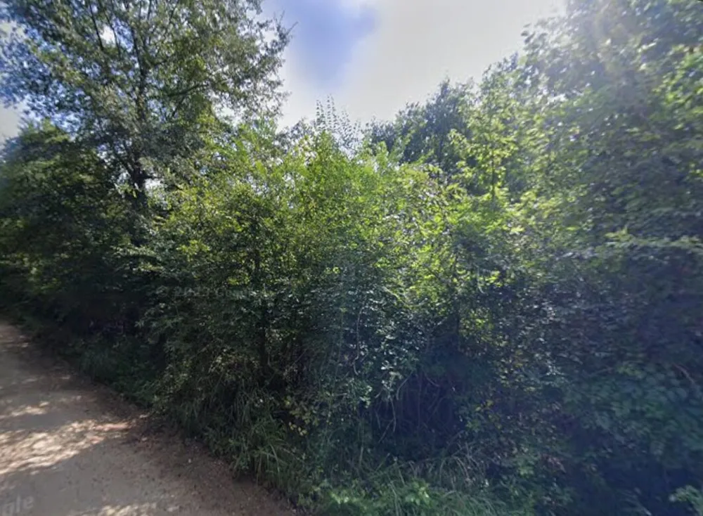 Kendrick Mill Road Crawfordville, GA 30631