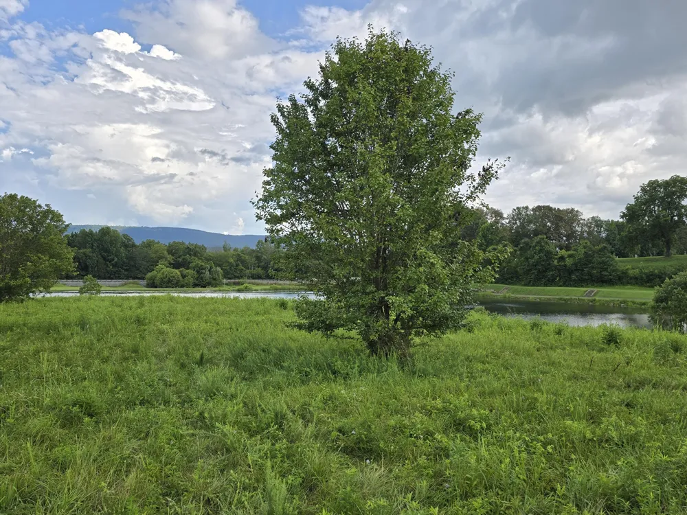 1 Spring Lake Drive Dunlap, TN 37327