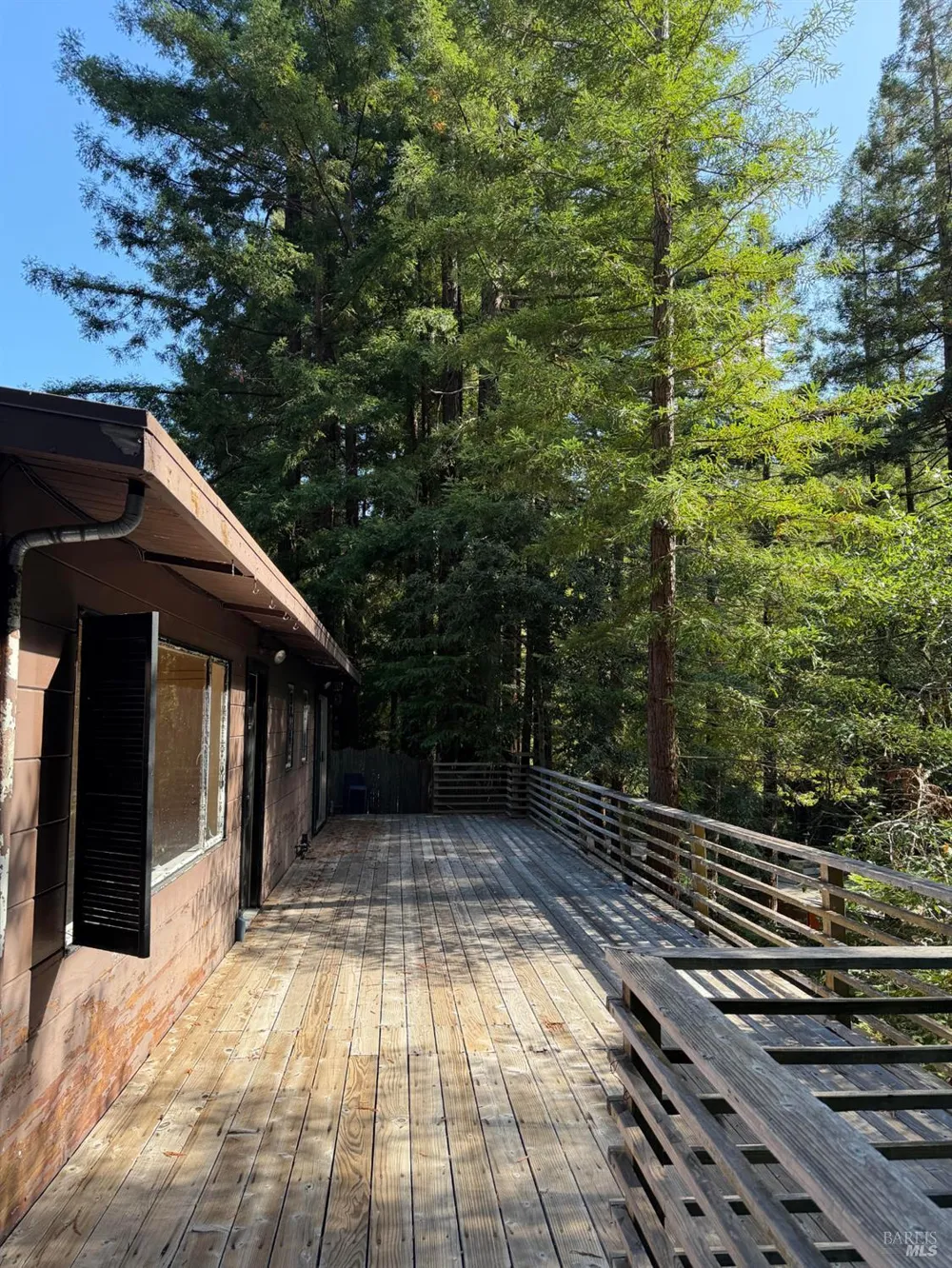 974 Lovell Avenue Mill Valley, CA 94941