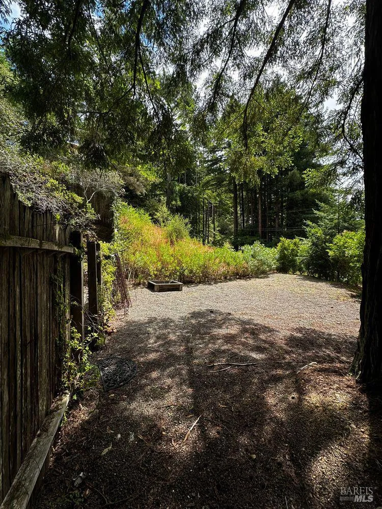 974 Lovell Avenue Mill Valley, CA 94941