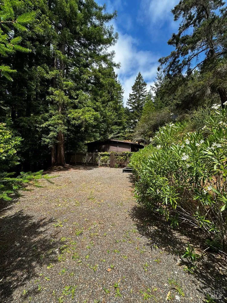 974 Lovell Avenue Mill Valley, CA 94941
