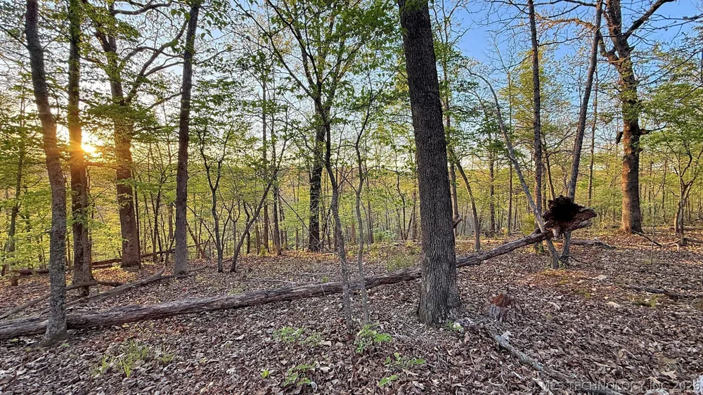 2345 Overlook Drive Kansas, OK 74347