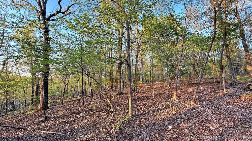 2345 Overlook Drive Kansas, OK 74347