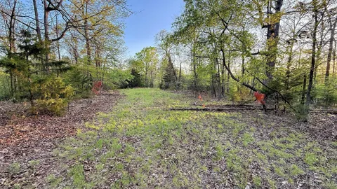 2345 Overlook Drive
