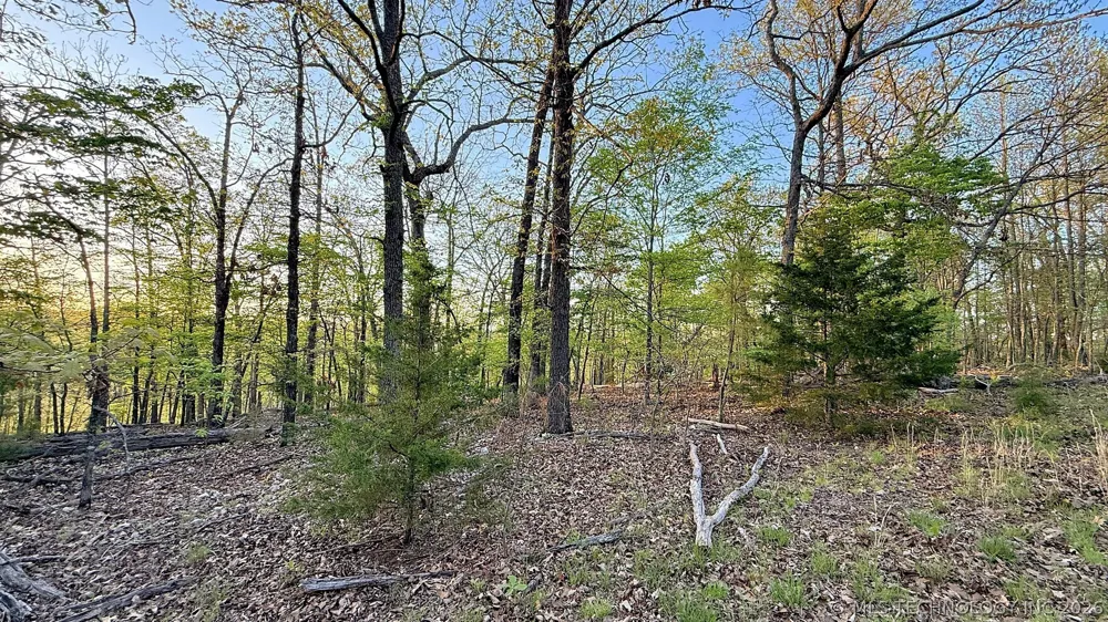 2345 Overlook Drive Kansas, OK 74347