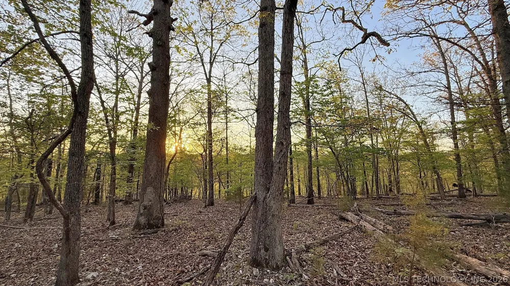 2345 Overlook Drive Kansas, OK 74347