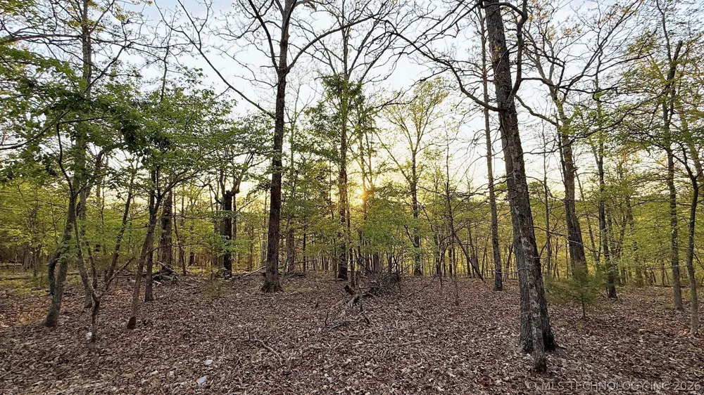 2345 Overlook Drive Kansas, OK 74347