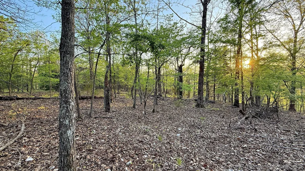 2345 Overlook Drive Kansas, OK 74347