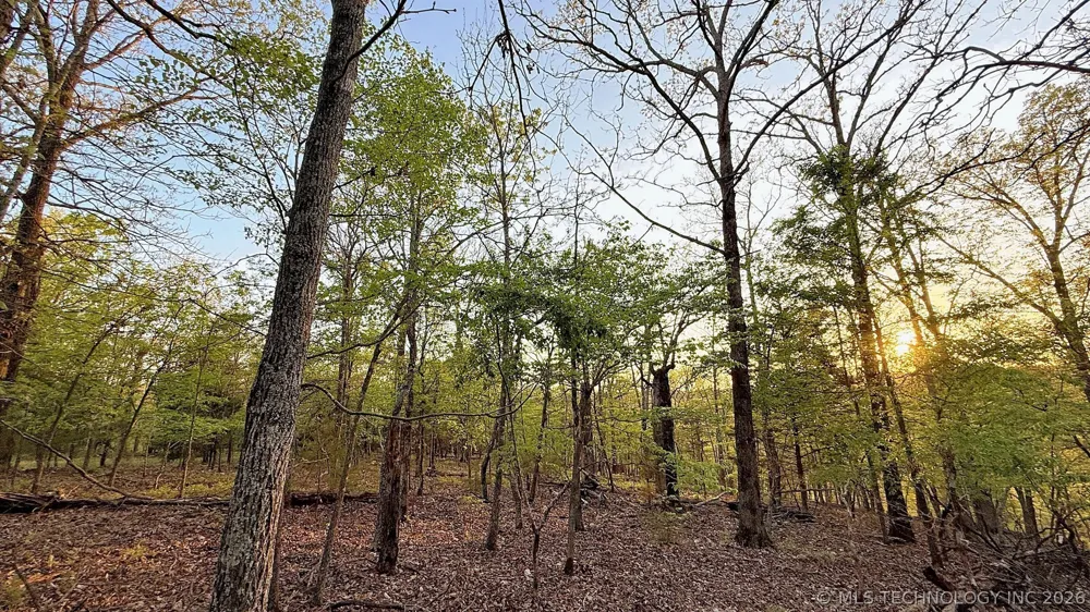 2345 Overlook Drive Kansas, OK 74347
